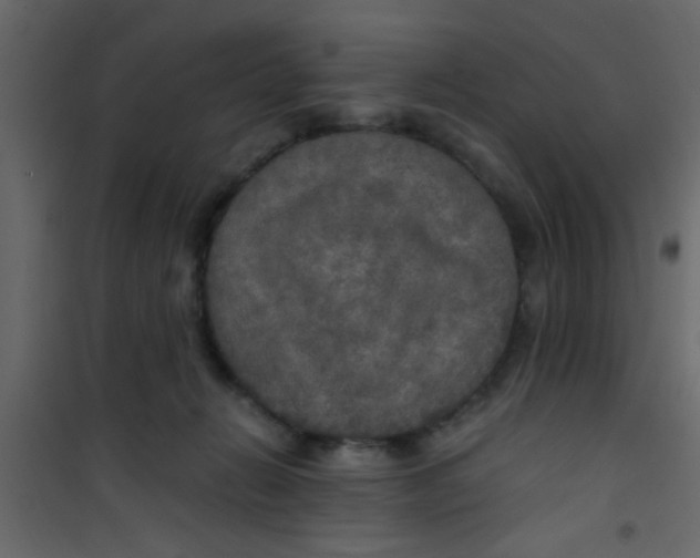 X0000101120270200807172007