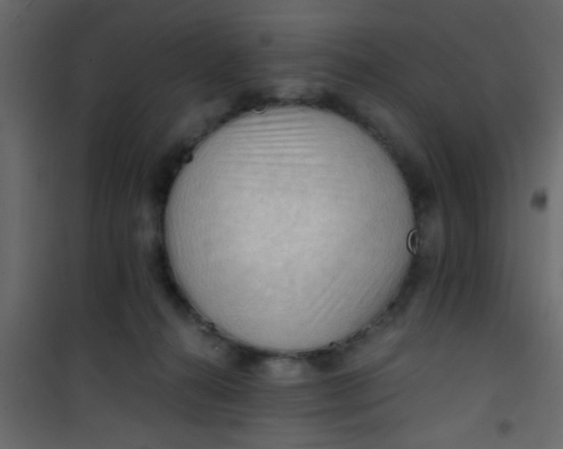X0000101120272200807172007