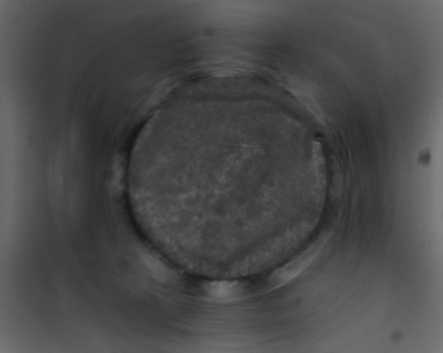 X0000101120273200807172007