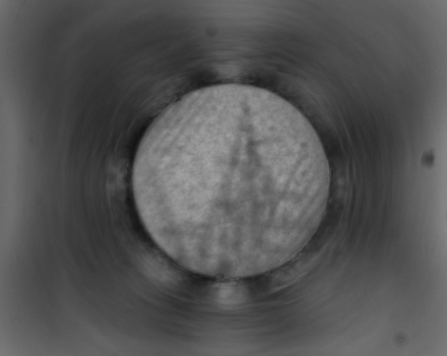 X0000101120275200807172007