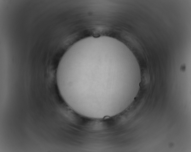 X0000101120276200807172007