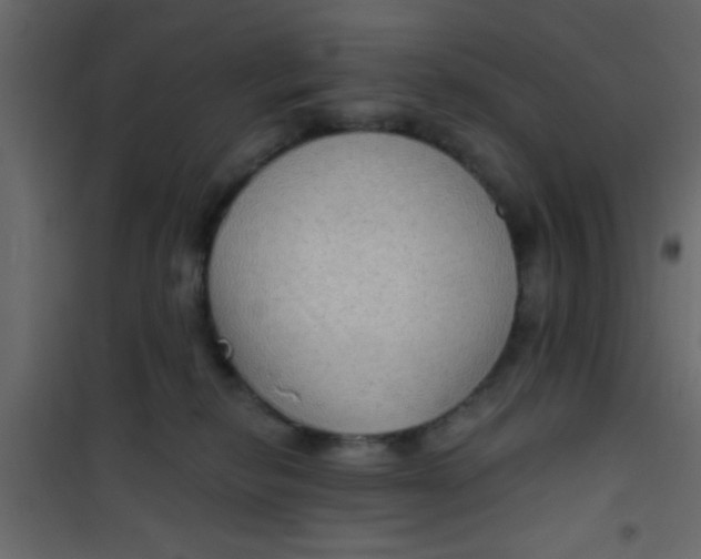 X0000101120278200807172007
