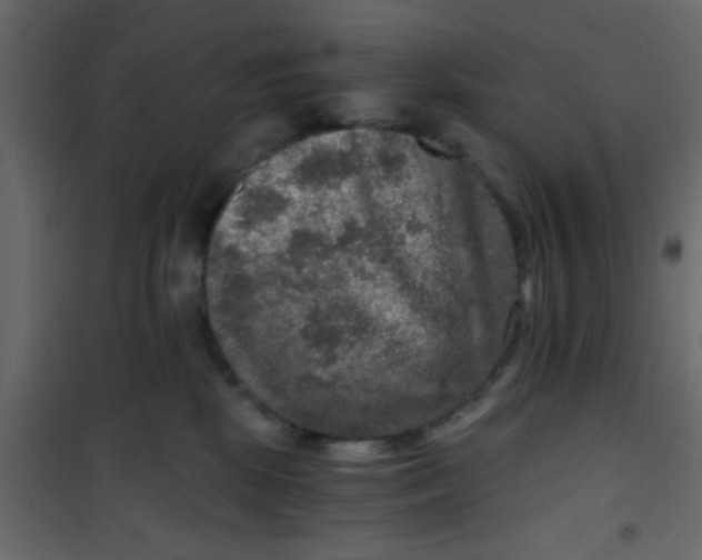 X0000101120281200807172007