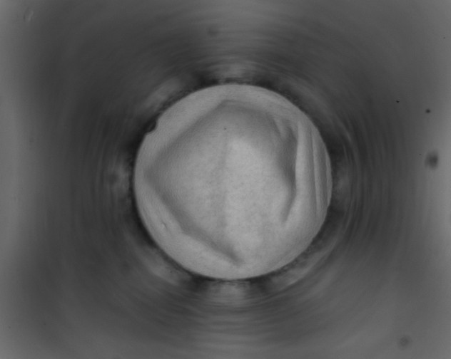 X0000101120282200807172007