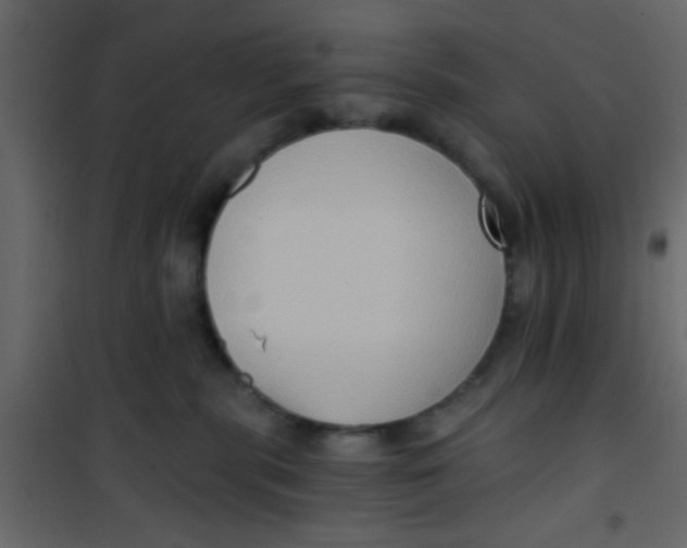 X0000101120283200807172007
