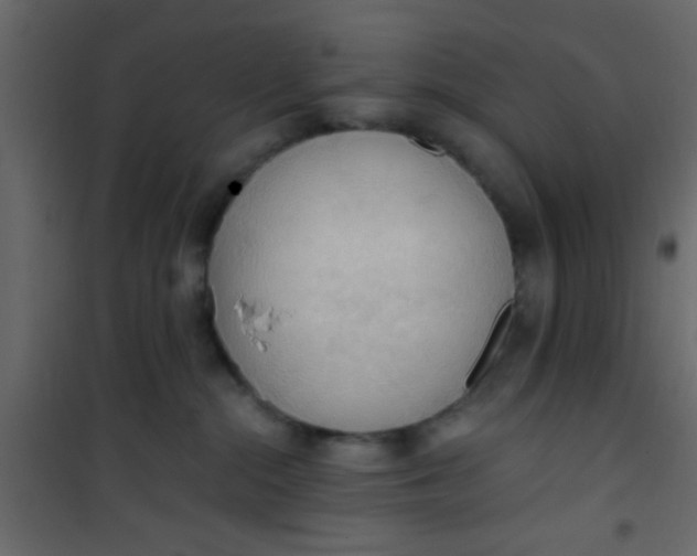 X0000101120284200807172007