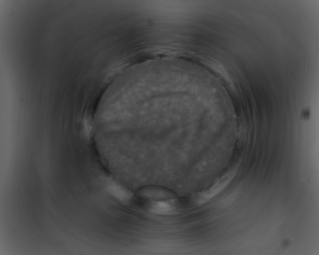 X0000101120285200807172007
