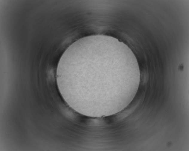 X0000101120286200807172007