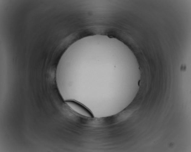 X0000101120288200807172007