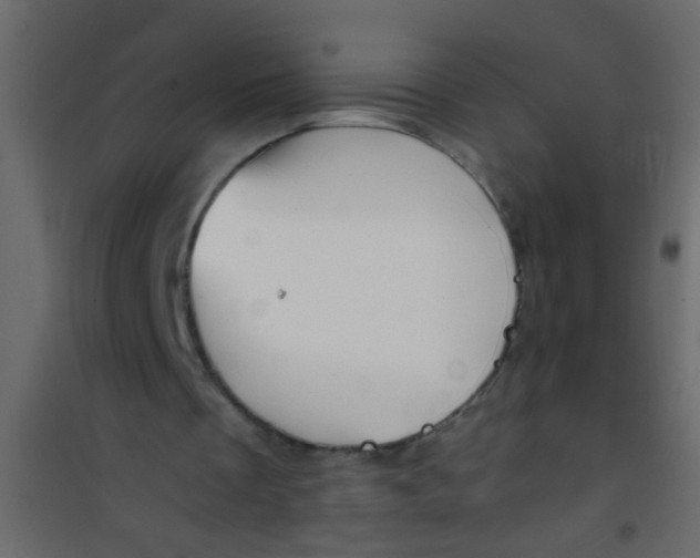 X0000101120289200807172007