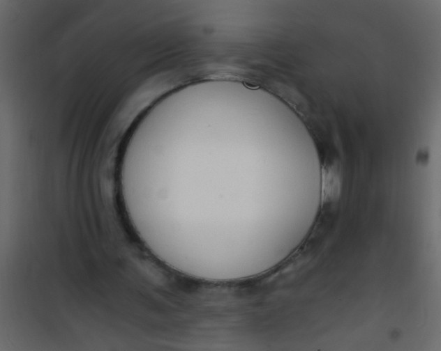 X0000101120291200807172007