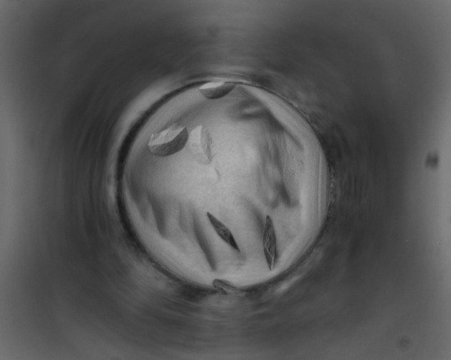 X0000101120294200807172007