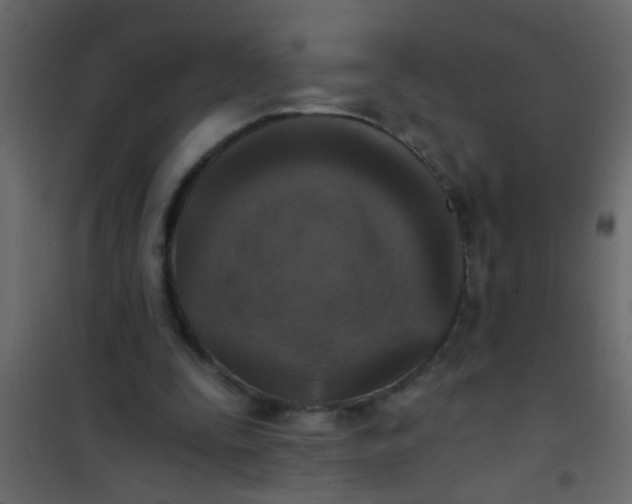 X0000101120295200807172007