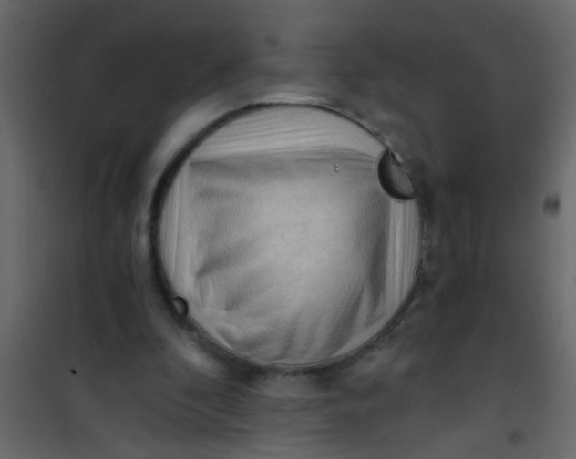 X0000101120296200807172006