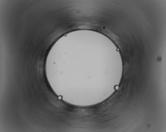 X0000101120297200807172006