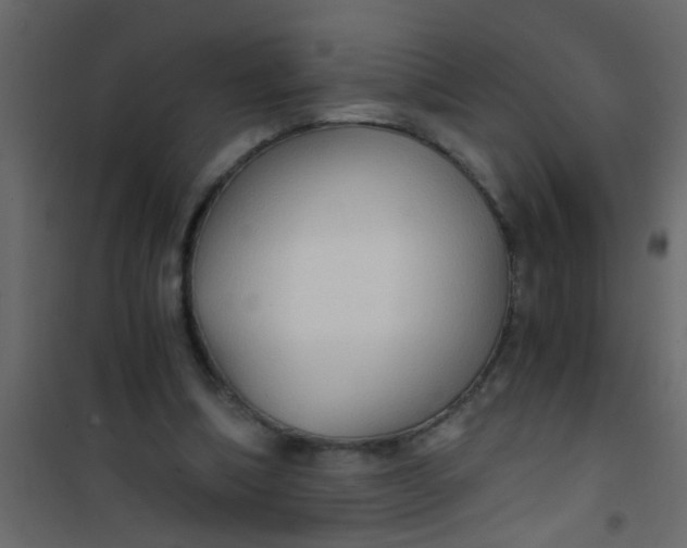 X0000101120298200807172006