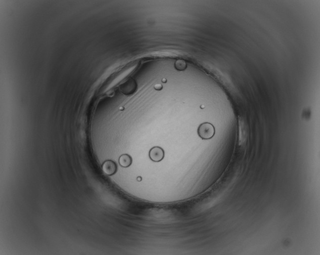 X0000101120300200807172006