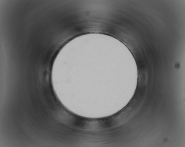X0000101120301200807172006
