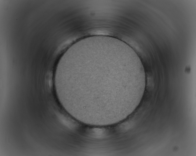 X0000101120302200807172006