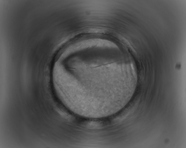 X0000101120303200807172006