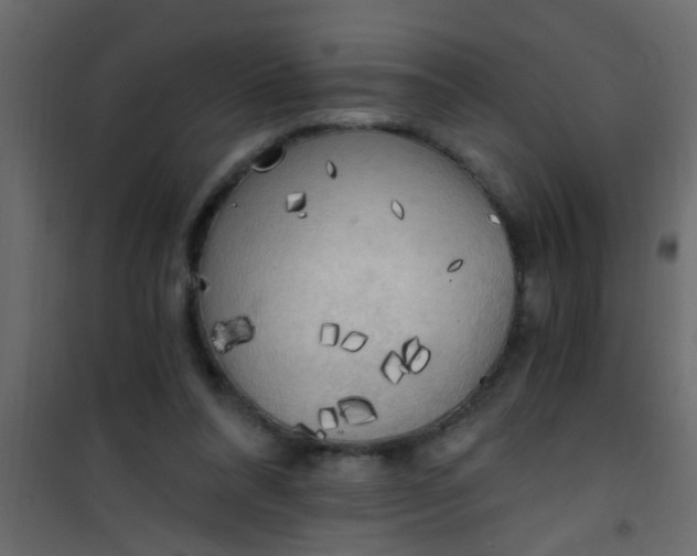 X0000101120304200807172006