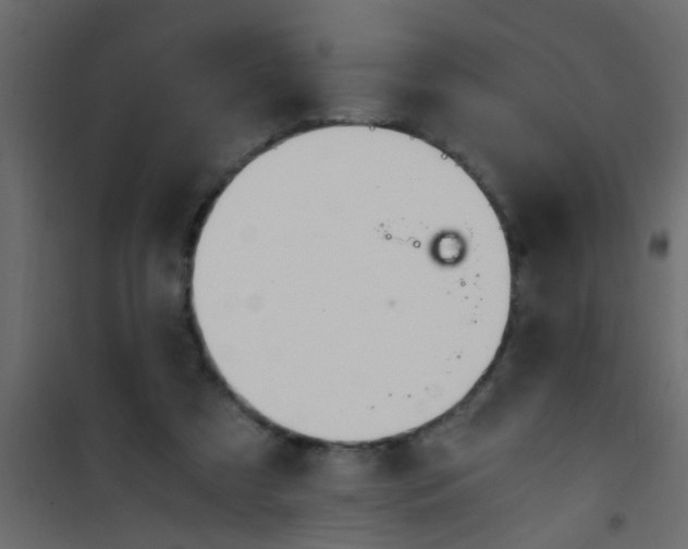 X0000101120305200807172006