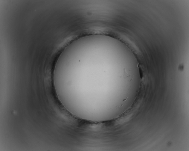 X0000101120306200807172006