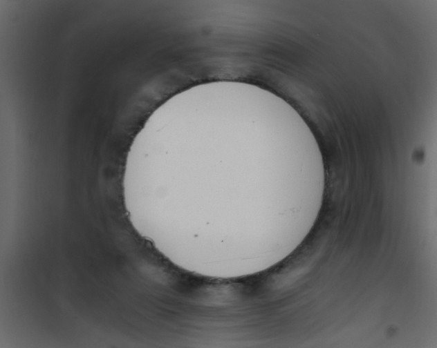 X0000101120307200807172006