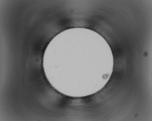 X0000101120309200807172006