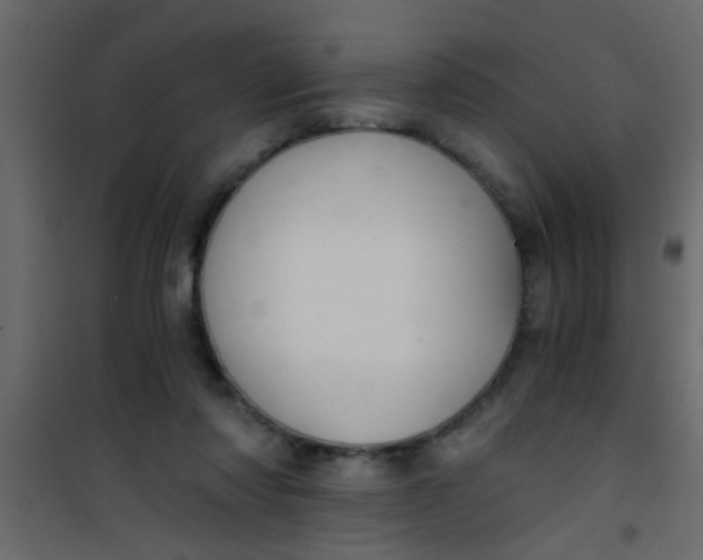 X0000101120310200807172006