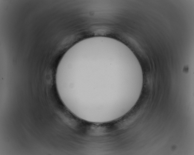X0000101120311200807172006