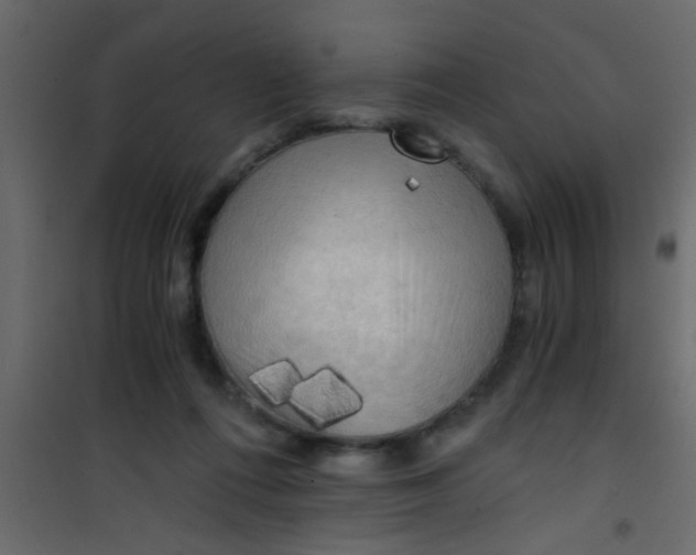 X0000101120312200807172006