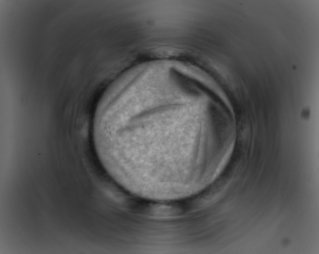 X0000101120315200807172006