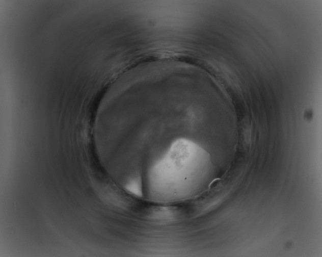 X0000101120316200807172006
