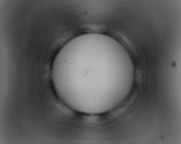 X0000101120318200807172006