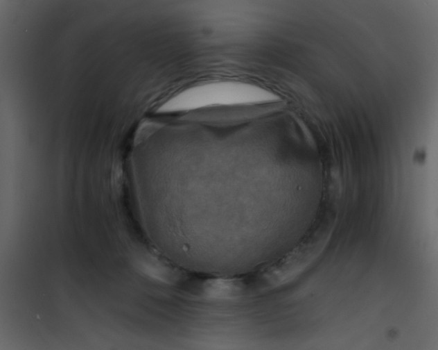 X0000101120320200807172006