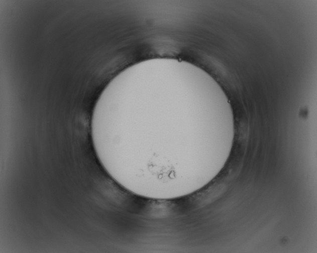 X0000101120321200807172006