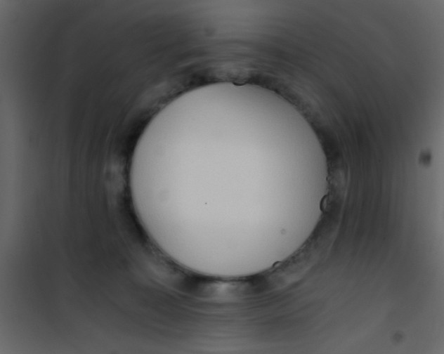 X0000101120323200807172006