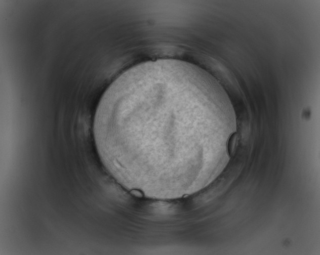X0000101120326200807172006