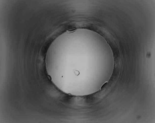 X0000101120327200807172006