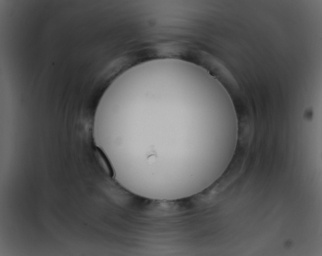 X0000101120329200807172006