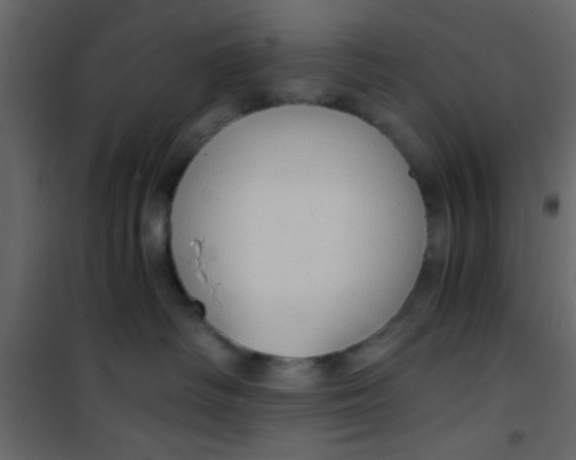 X0000101120334200807172006