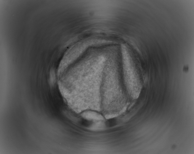 X0000101120335200807172006