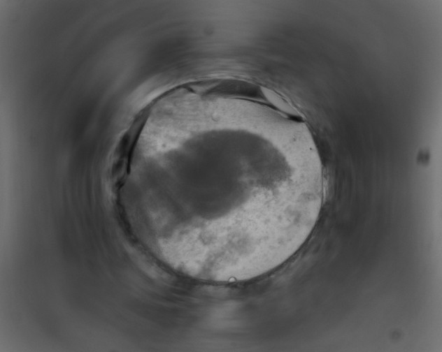 X0000101120339200807172005
