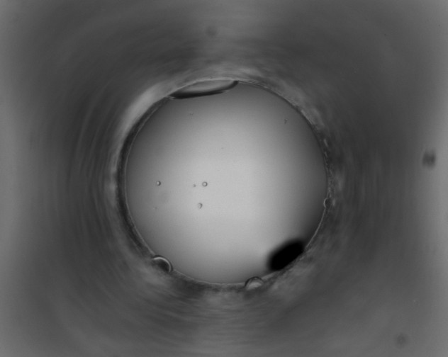 X0000101120340200807172005