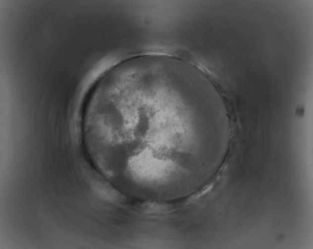 X0000101120343200807172005