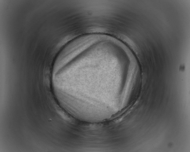 X0000101120345200807172005