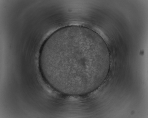 X0000101120346200807172005