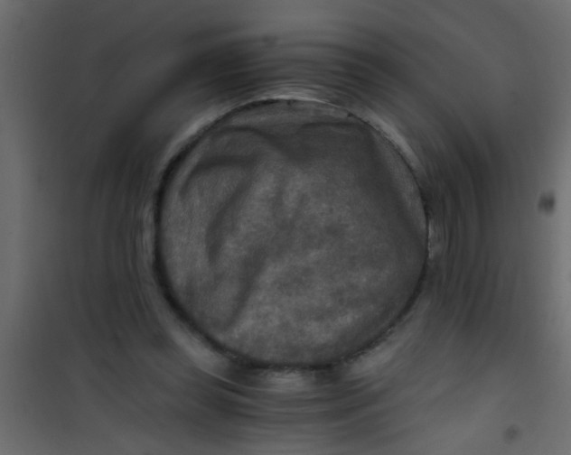X0000101120349200807172005