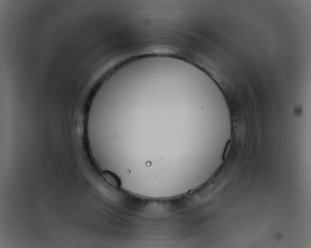 X0000101120350200807172005